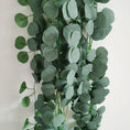 Load image into Gallery viewer, Eucalyptus-Inspired Decorations Garland (1.8M)