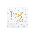 Load image into Gallery viewer, Foil Stamped Paper Napkins Set - Boy or Girl