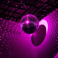 Load image into Gallery viewer, Shiny Silver Hanging 8 Inch Disco Ball