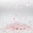 Load image into Gallery viewer, Ballerina Theme Pink & Rose Gold Tissue Confetti