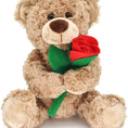 Load image into Gallery viewer, Brown Teddy Bear with Rose Plush Toy 30 Cm
