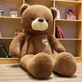 Load image into Gallery viewer, Large Hug Bear