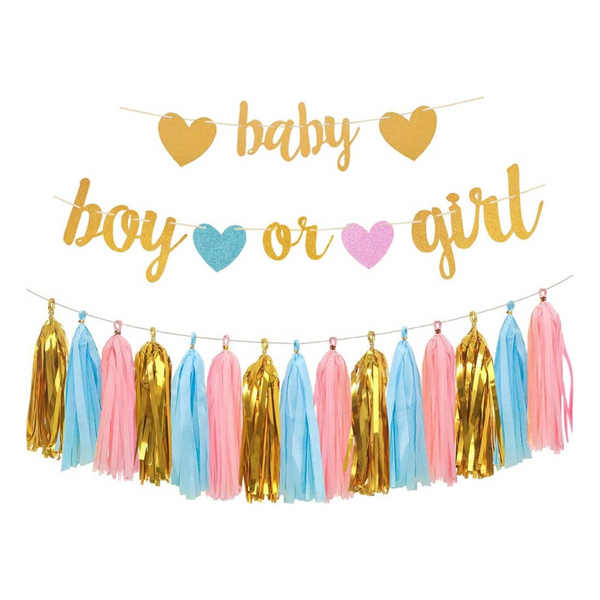 Boy or Girl Banner and Tissue Paper Tassels Garland Set