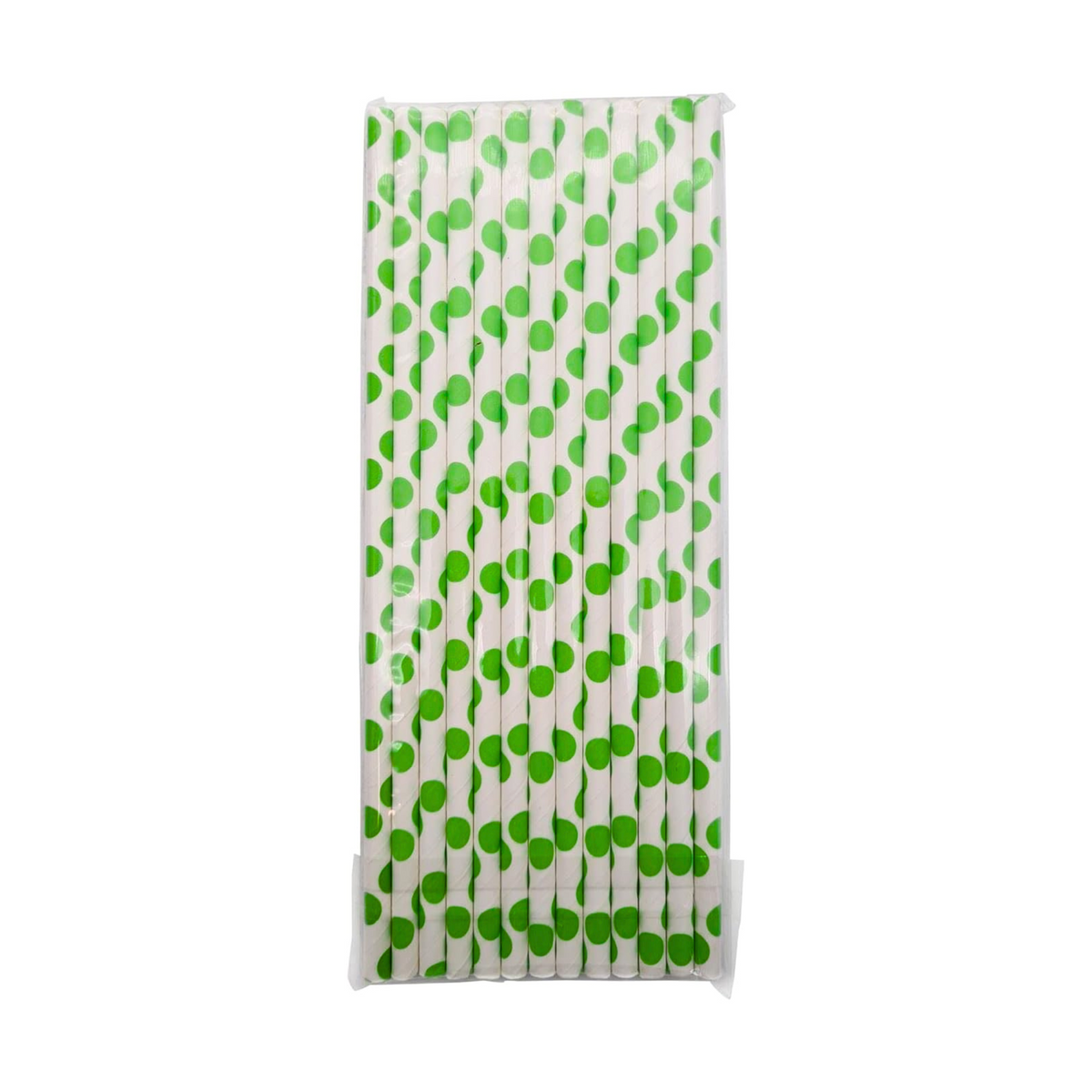 Dino Theme Birthday Party Paper Straws Set