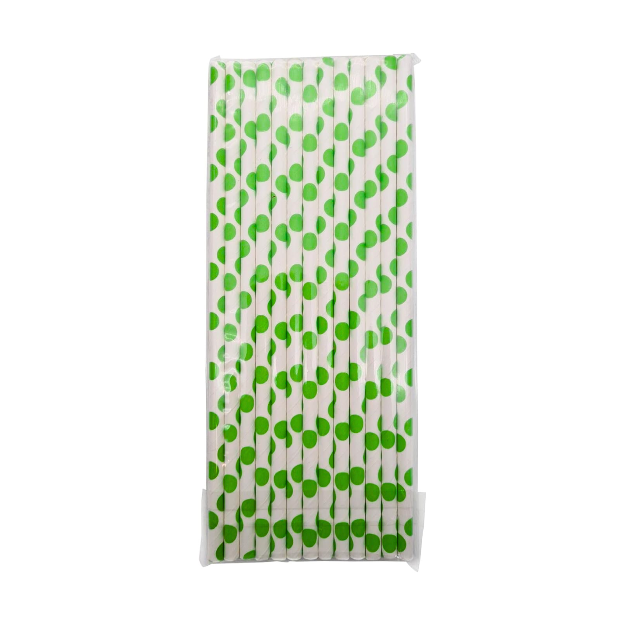 Dino Theme Birthday Party Paper Straws Set