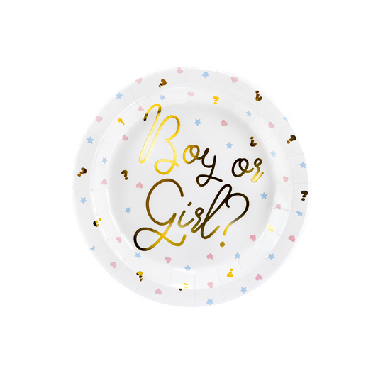 Boy or Girl Themed Paper Plates Set