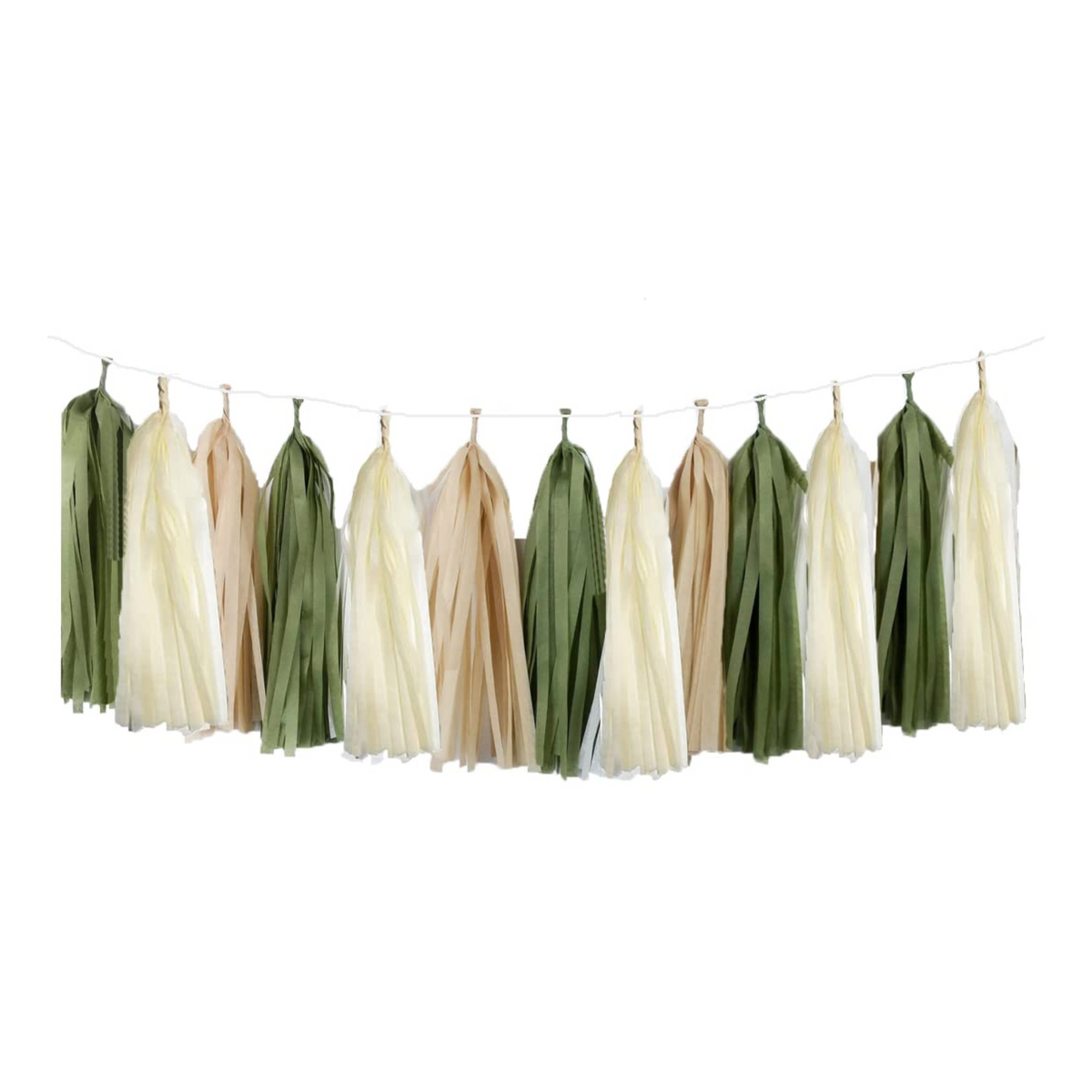 Safari Theme Tassel Garland