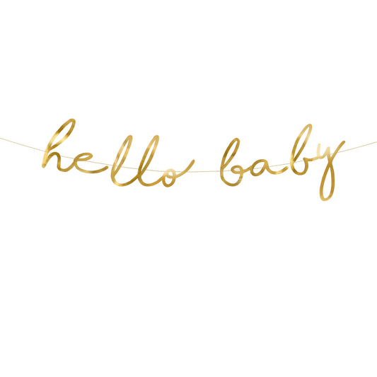 Little Star, Hello Baby Banner