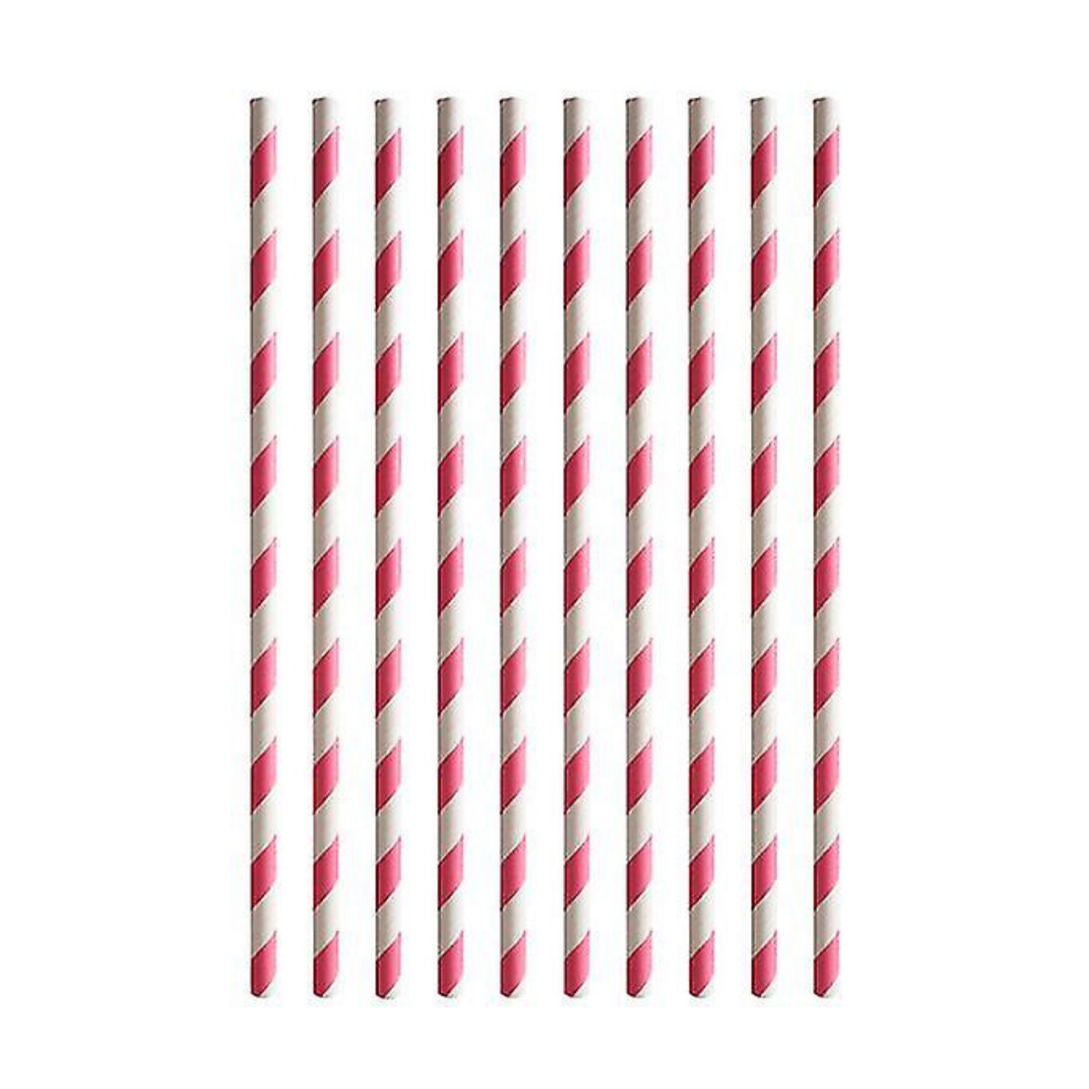 Fairy Garden Theme Party Paper Straws Set