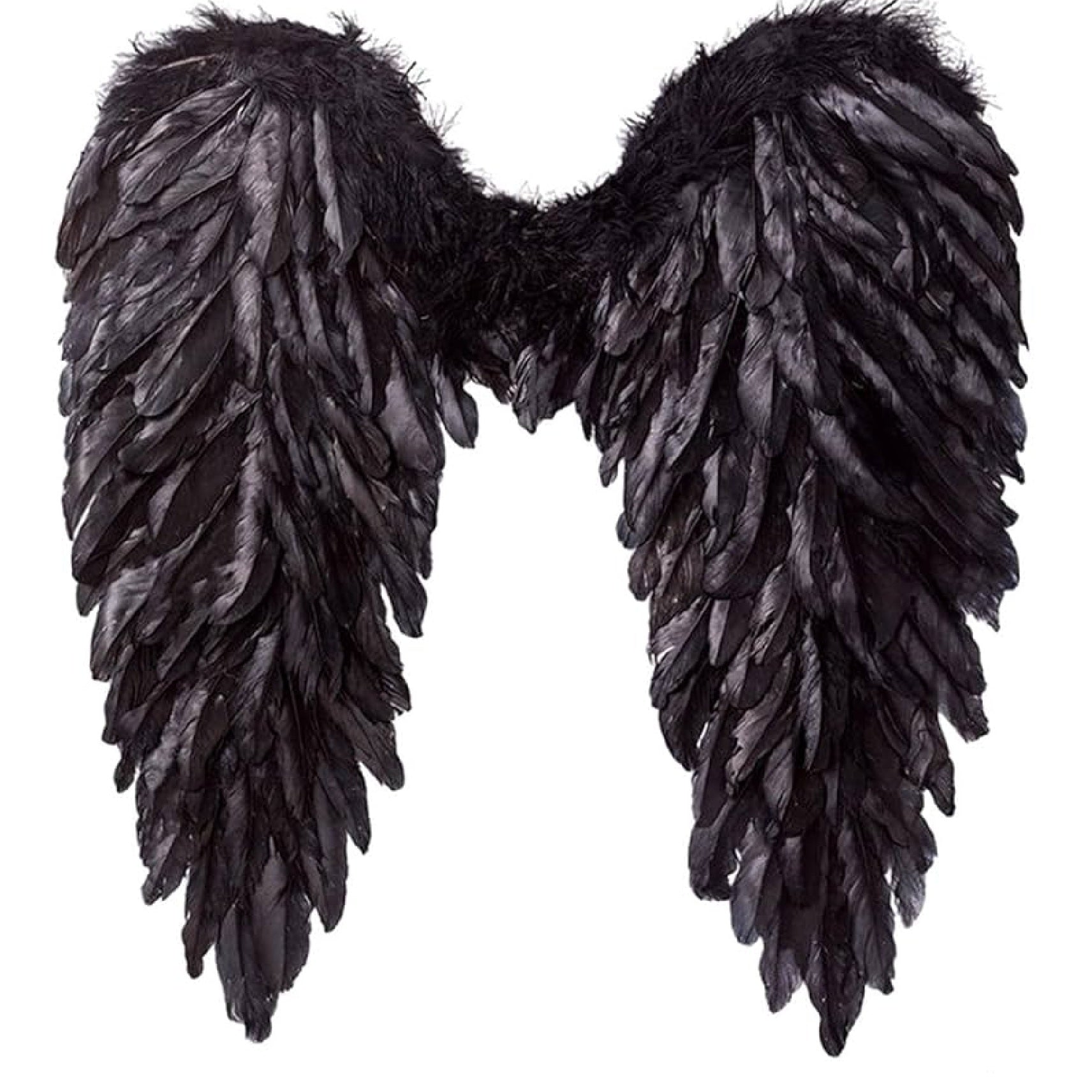 The Black Angle Wings