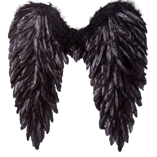 The Black Angle Wings