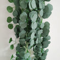 Load image into Gallery viewer, Eucalyptus-Inspired Decorations Garland (1.8M)
