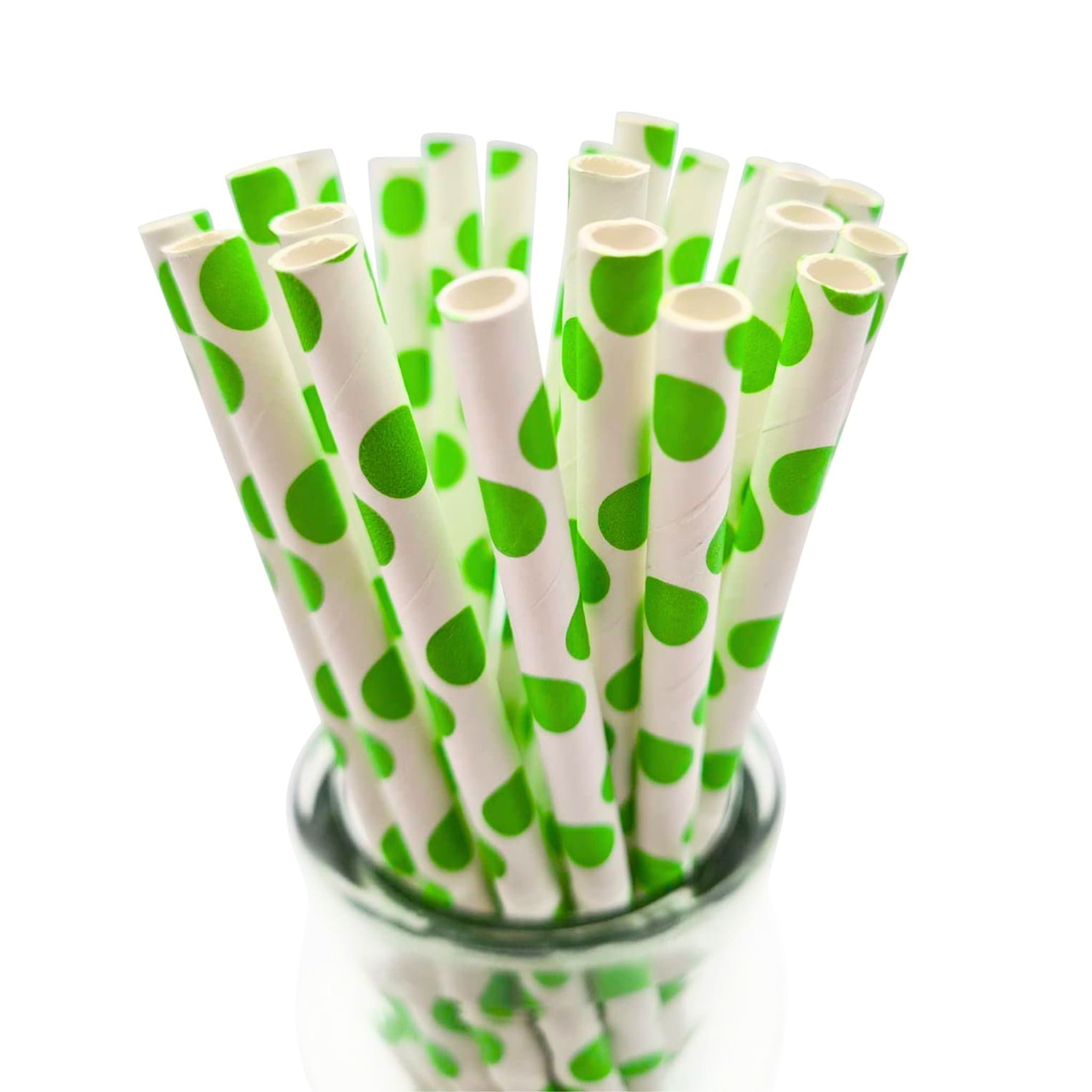 Dino Theme Birthday Party Paper Straws Set