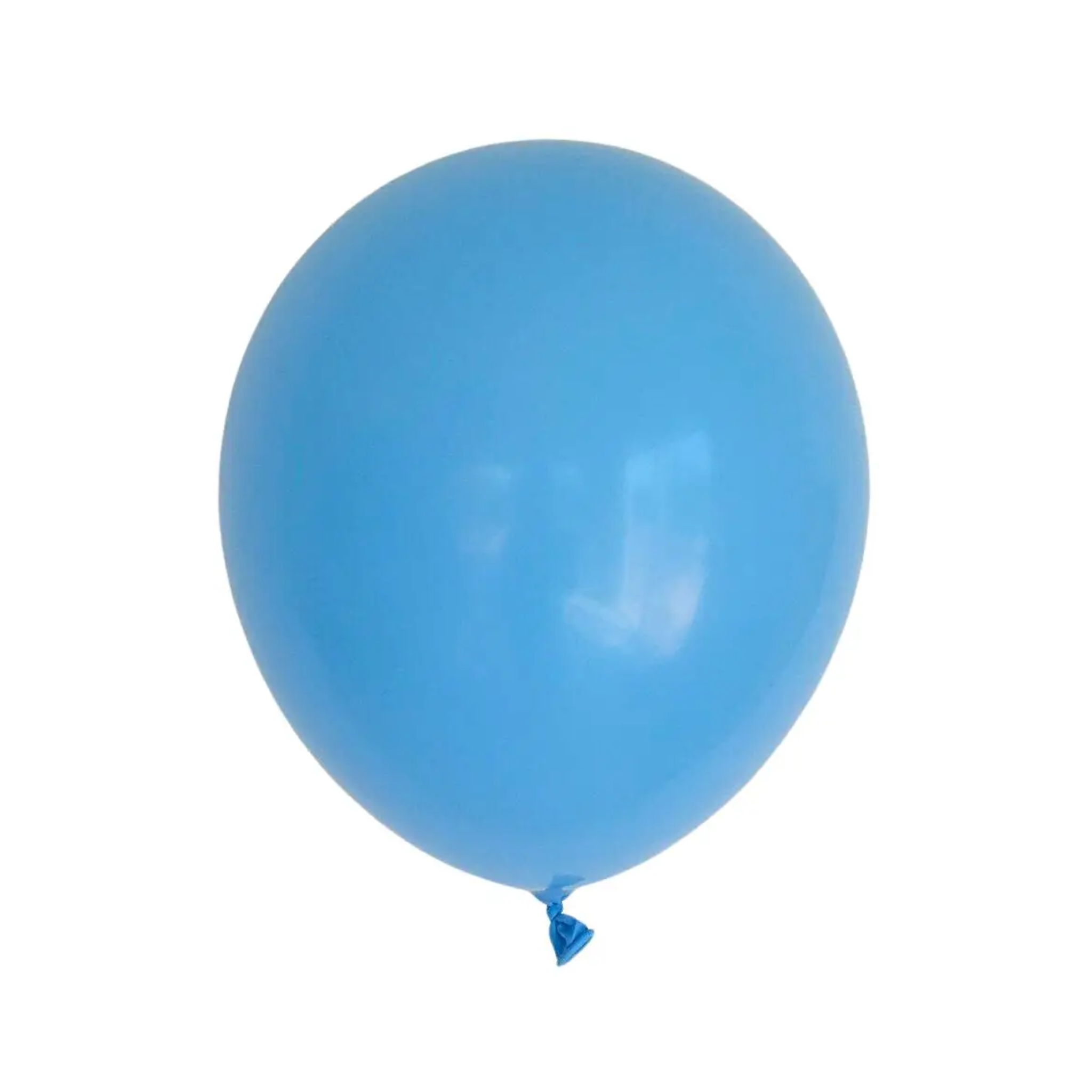 10 Inch Standard Balloons (Blue)