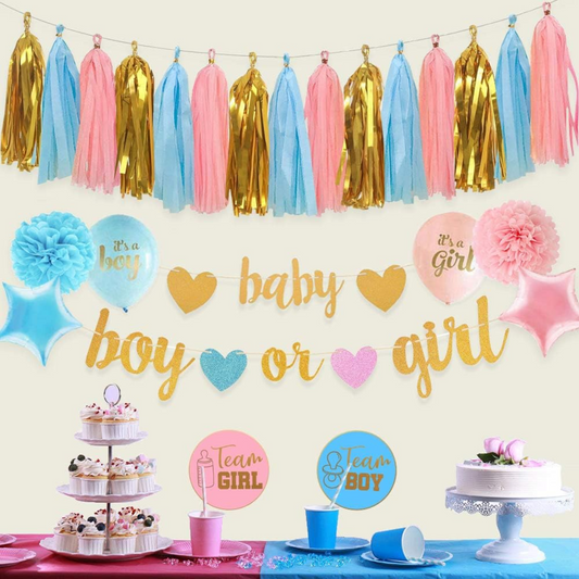 Boy or Girl Banner and Tissue Paper Tassels Garland Set