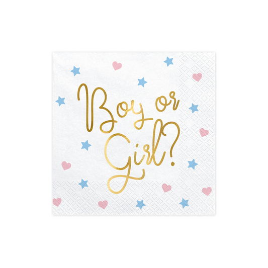 Foil Stamped Paper Napkins Set - Boy or Girl