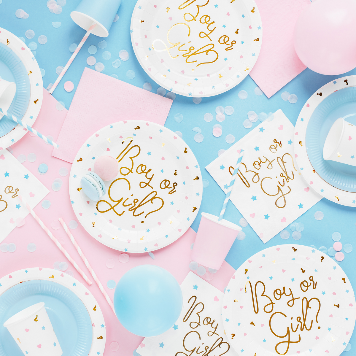 Boy or Girl Themed Paper Plates Set