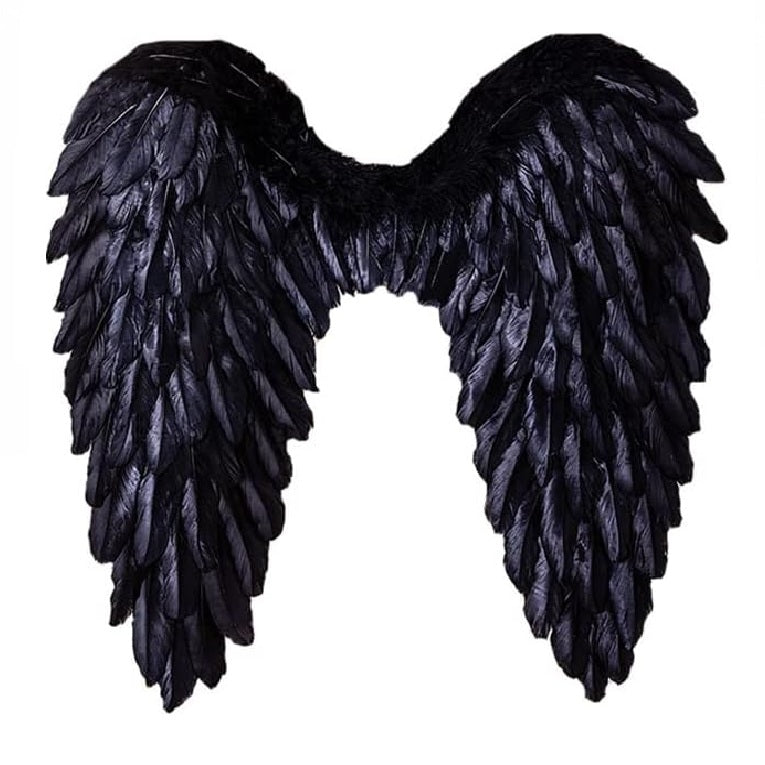 The Black Angle Wings