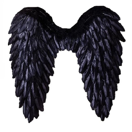 The Black Angle Wings