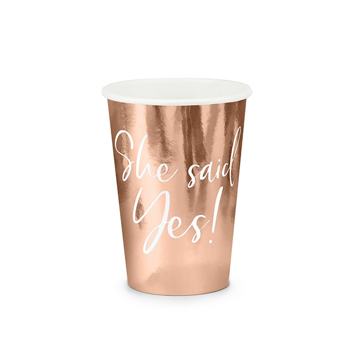 Bachelorette Party Rose Gold Dinnerware Set