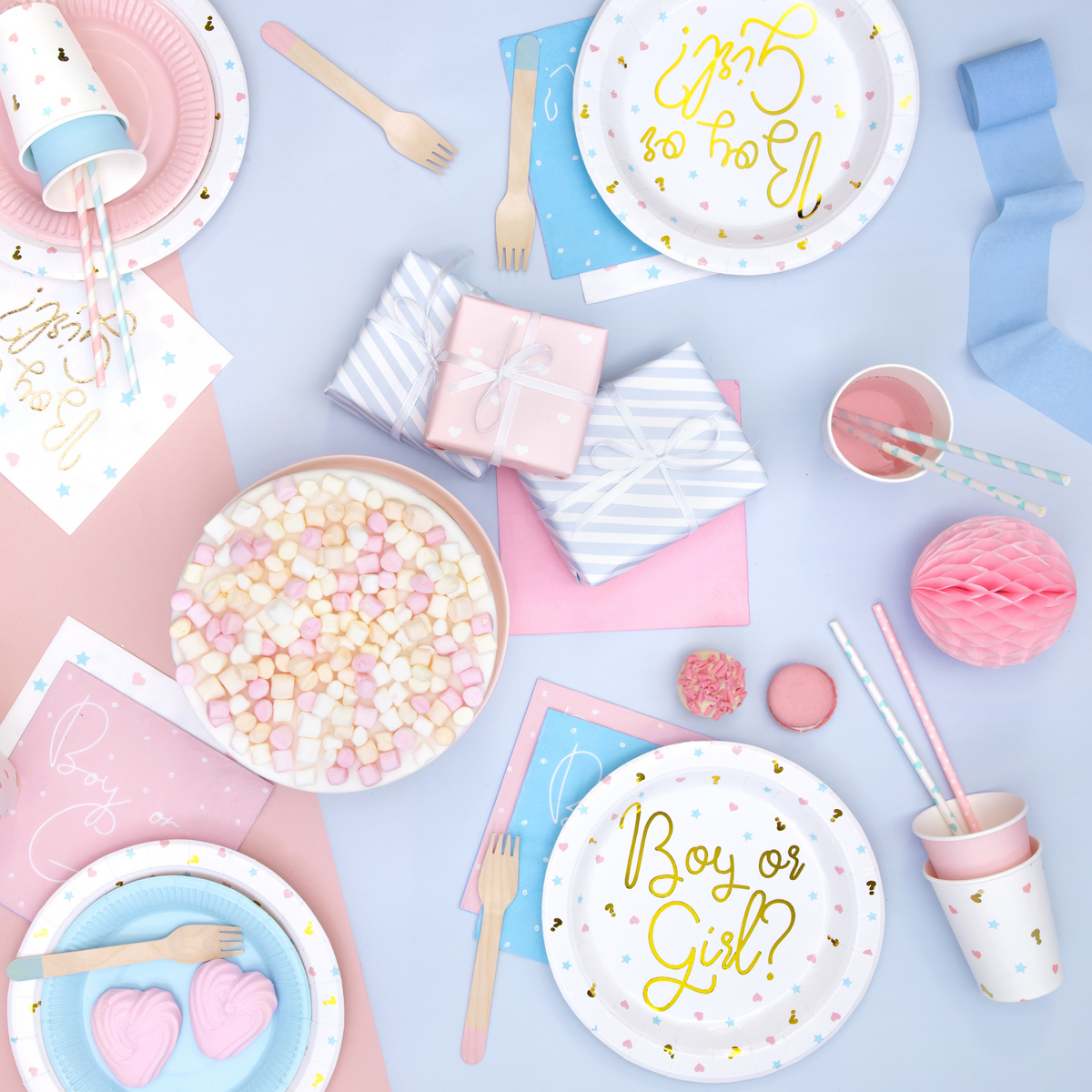 Boy or Girl Themed Paper Plates Set