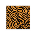 Load image into Gallery viewer, Animal Tiger Theme Party Tableware Sets
