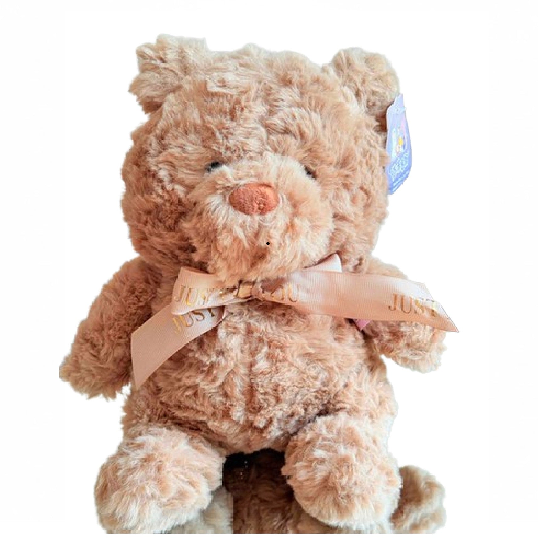 Charming Plush Teddy Bear Brown