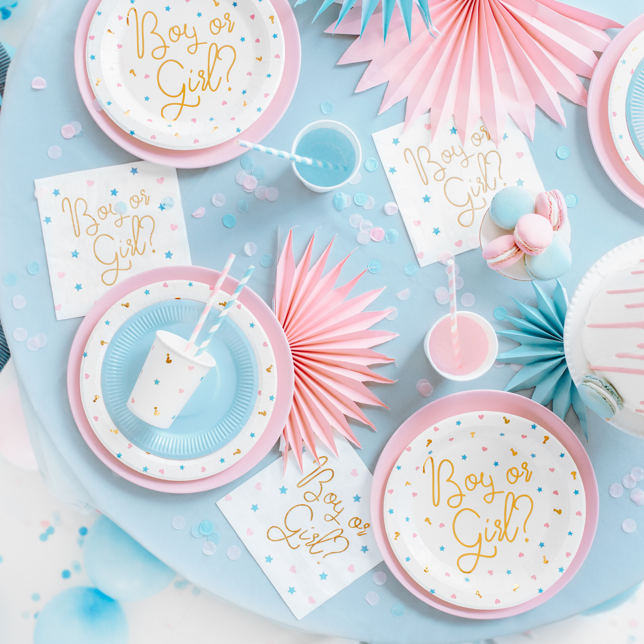 Boy or Girl Themed Paper Plates Set