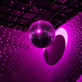 Load image into Gallery viewer, Shiny Silver Hanging 8 Inch Disco Ball
