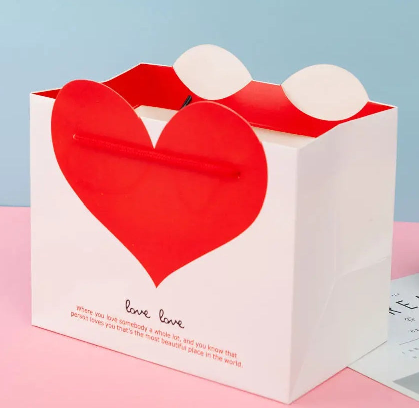 Love Heart Paper Gift Bag - White