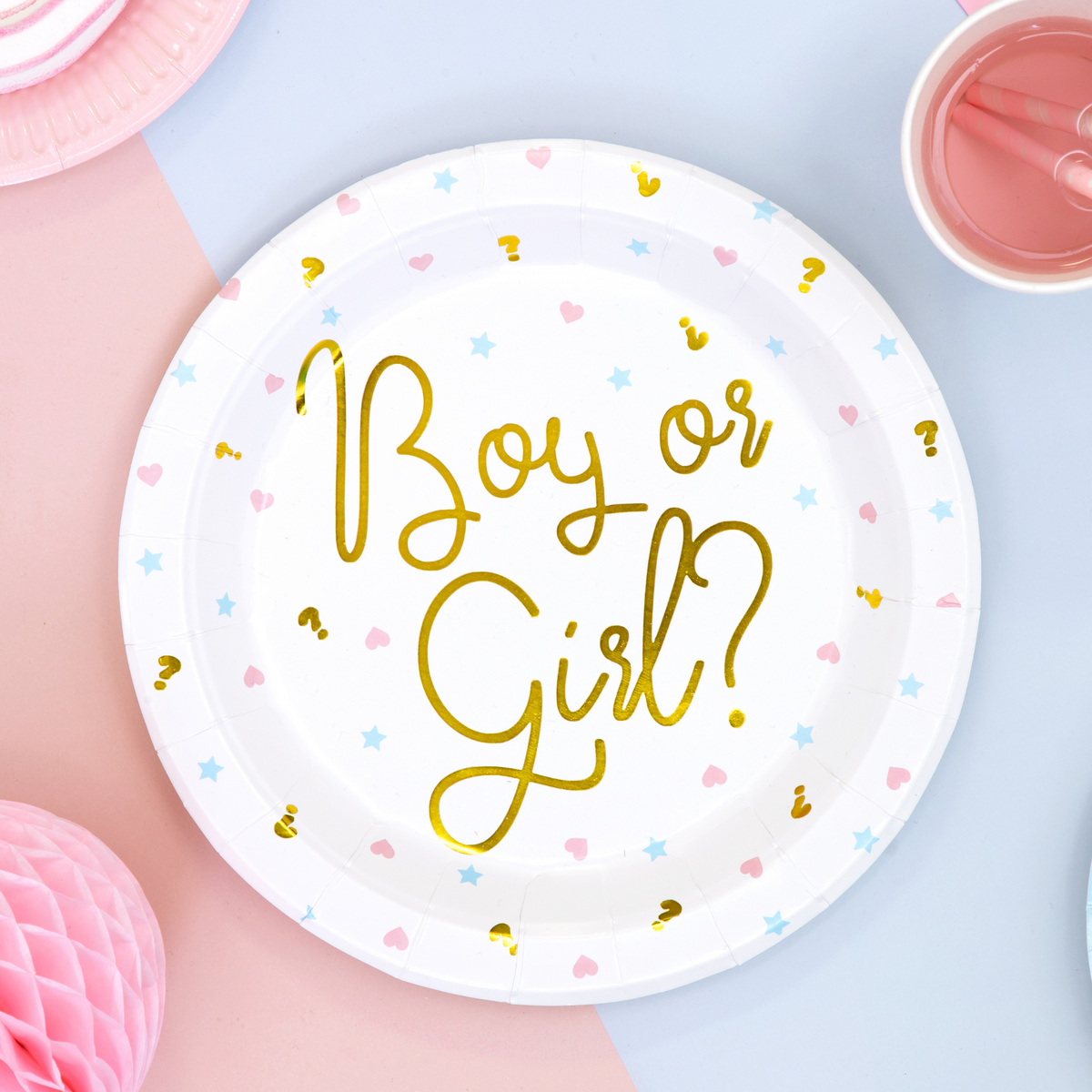 Boy or Girl Themed Paper Plates Set