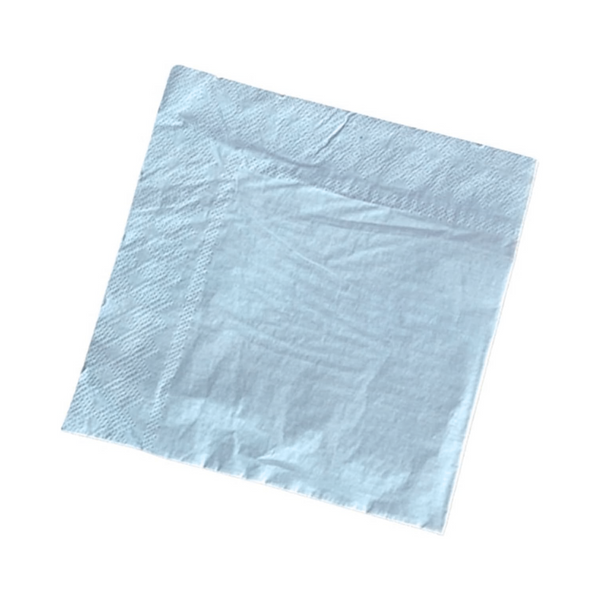 Light Blue Party Paper Napkins Set