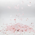 Load image into Gallery viewer, Ballerina Theme Pink & Rose Gold Tissue Confetti
