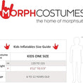 Load image into Gallery viewer, Inflatable Jetpack costume (Size 120-155 Cm)
