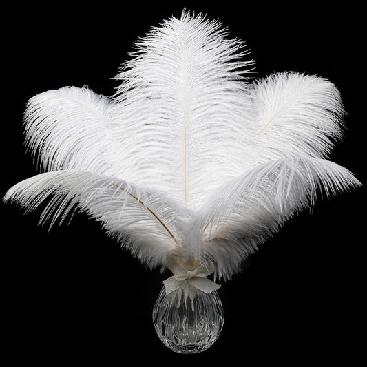 White Ostrich Feathers Set