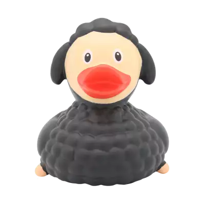 Black Sheep Duck