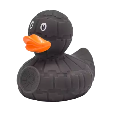 Grey Star Duck