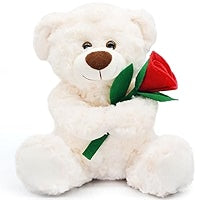 White Teddy Bear with Rose Plush Toy 30 Cm