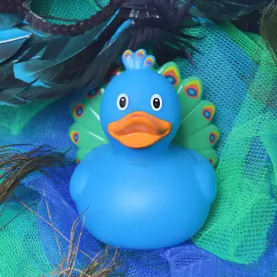 Peacock Duck
