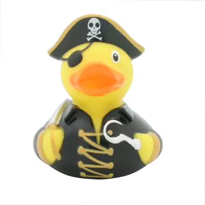 Pirate Duck