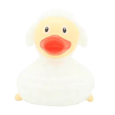 White Sheep Duck