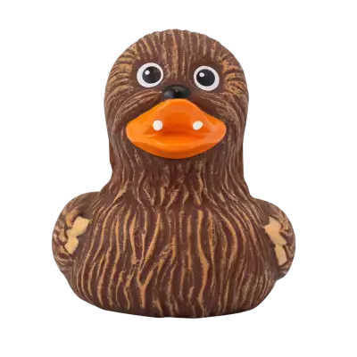 Whooping Duck