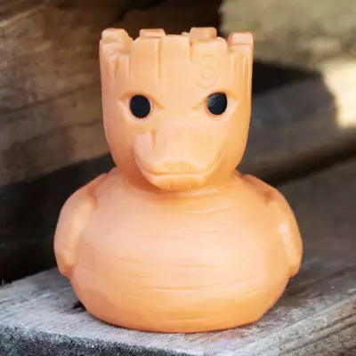 duck shop