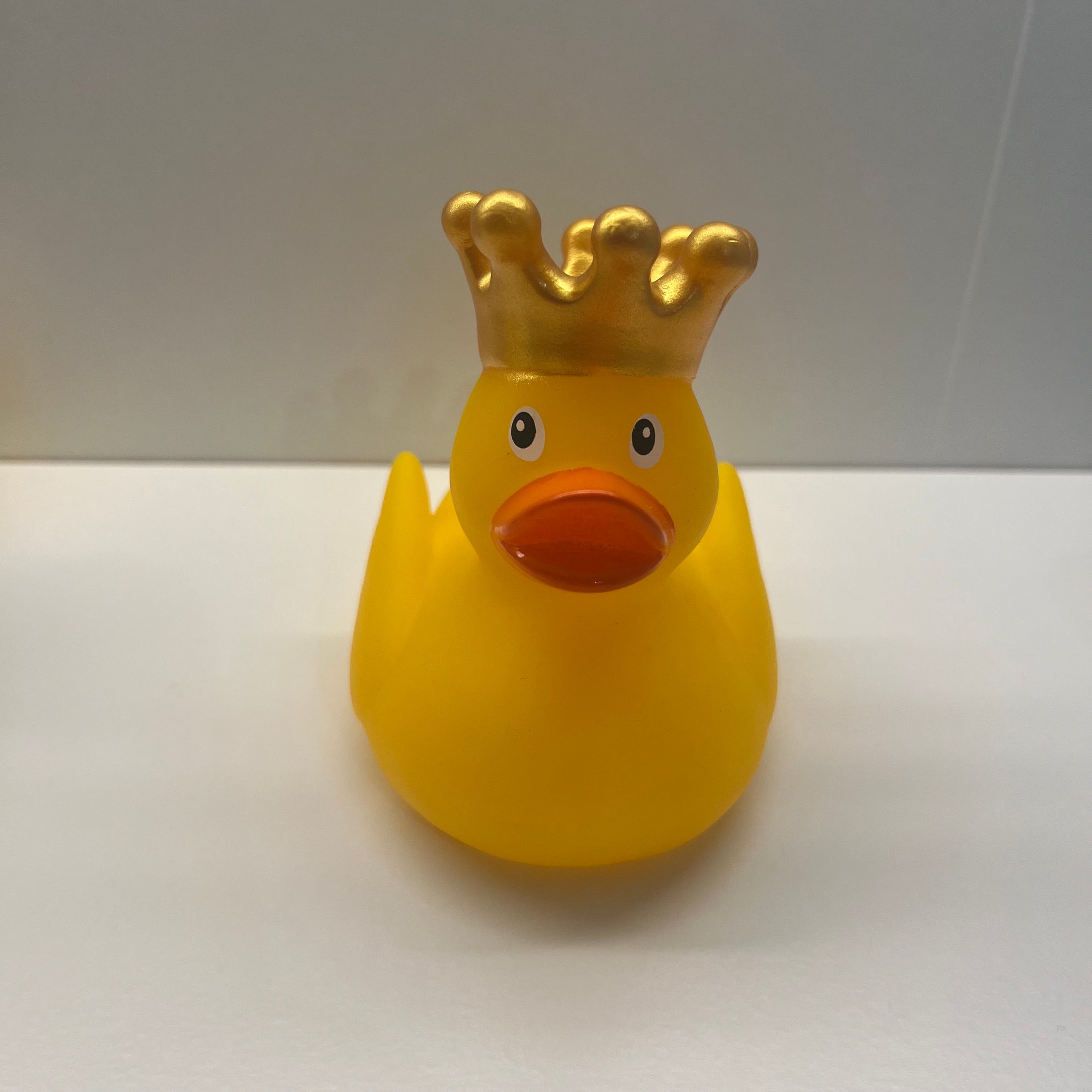 Yellow Crown Duck