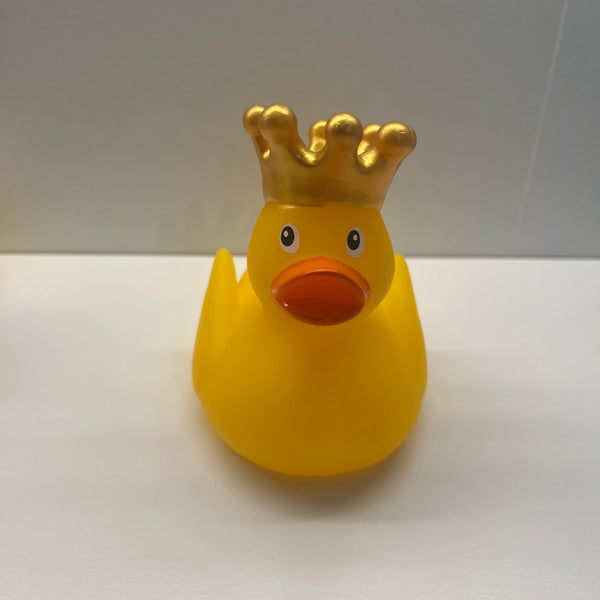 Yellow Crown Duck