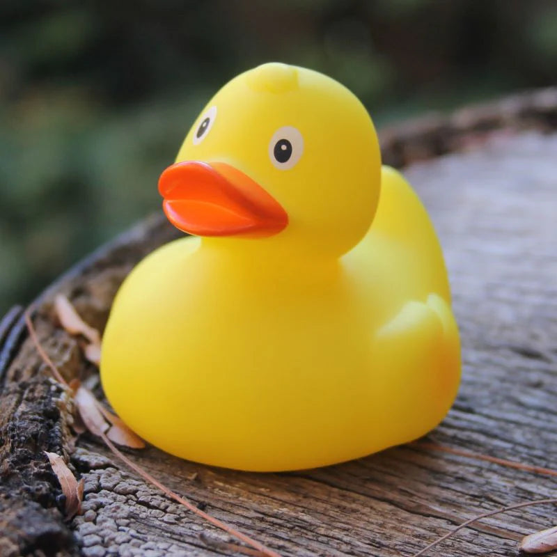 Yellow Duck
