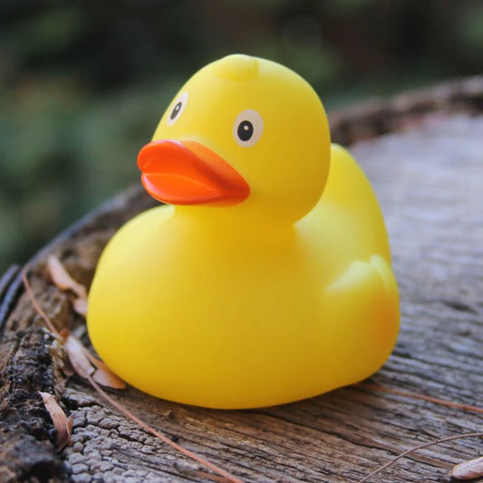 Yellow Duck