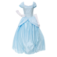 Load image into Gallery viewer, Cinderella Women Costume
