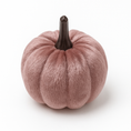 Load image into Gallery viewer, Decorative Pumpkins 5 cm
