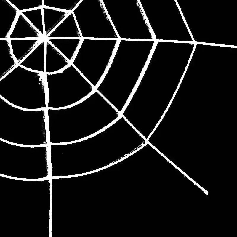 Spider Web with a large spider